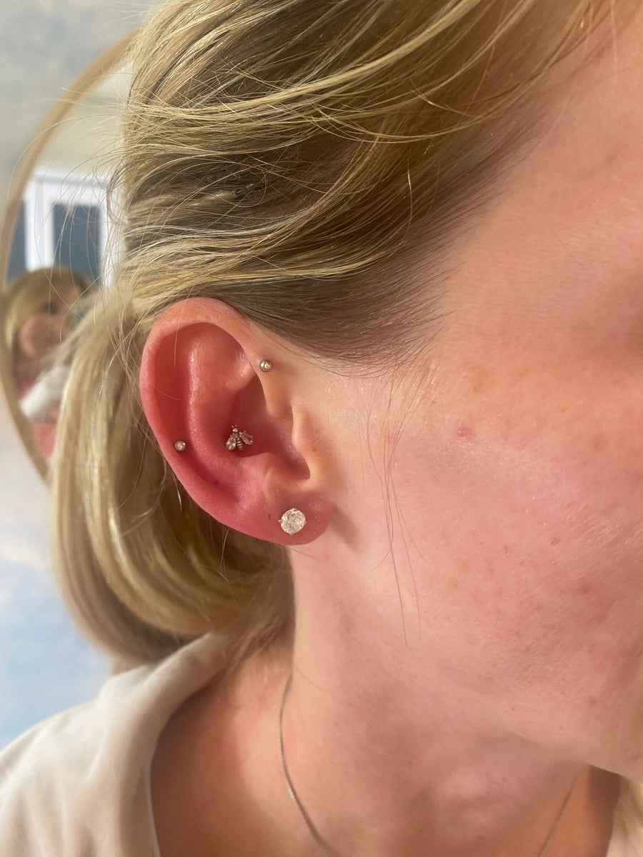 Conch piercing – Bodylink piercing studio Maidstone.