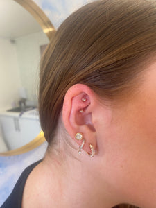 Mix of ear piercings