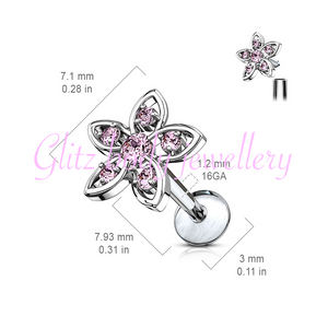 Labret cartilage/lip