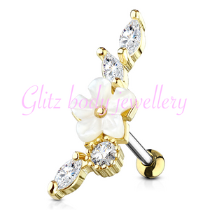 Tragus /diath ear cartilage