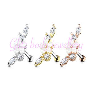 Tragus /diath ear cartilage