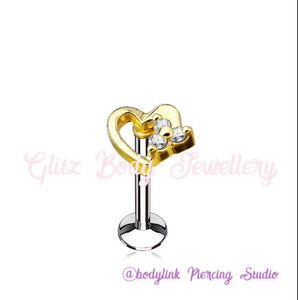 Labret diath Tragus all cartilage piercings