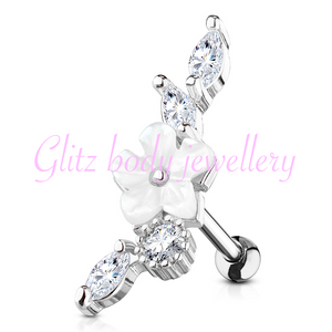 Tragus /diath ear cartilage