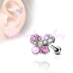 Tragus/diath ear cartilage labret